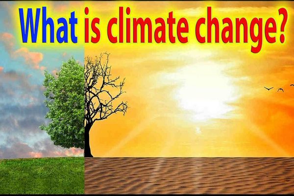What exactly is climate change? Everyone Should Know This! - neogot.com